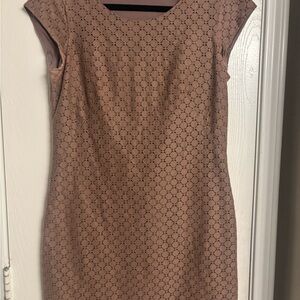 The Limited Blush and Black Mini Dress